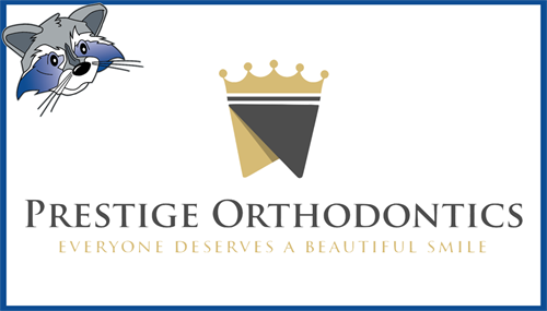 Blue frame with raccoon head in the upper left corner.  Inside the frame is the business logo of Prestige Orthodontics with a tooth with a gold crown on top.
