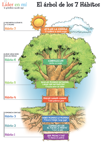 7 habits tree flyer with tree and flow chart of habits and descriptions written in Spanish